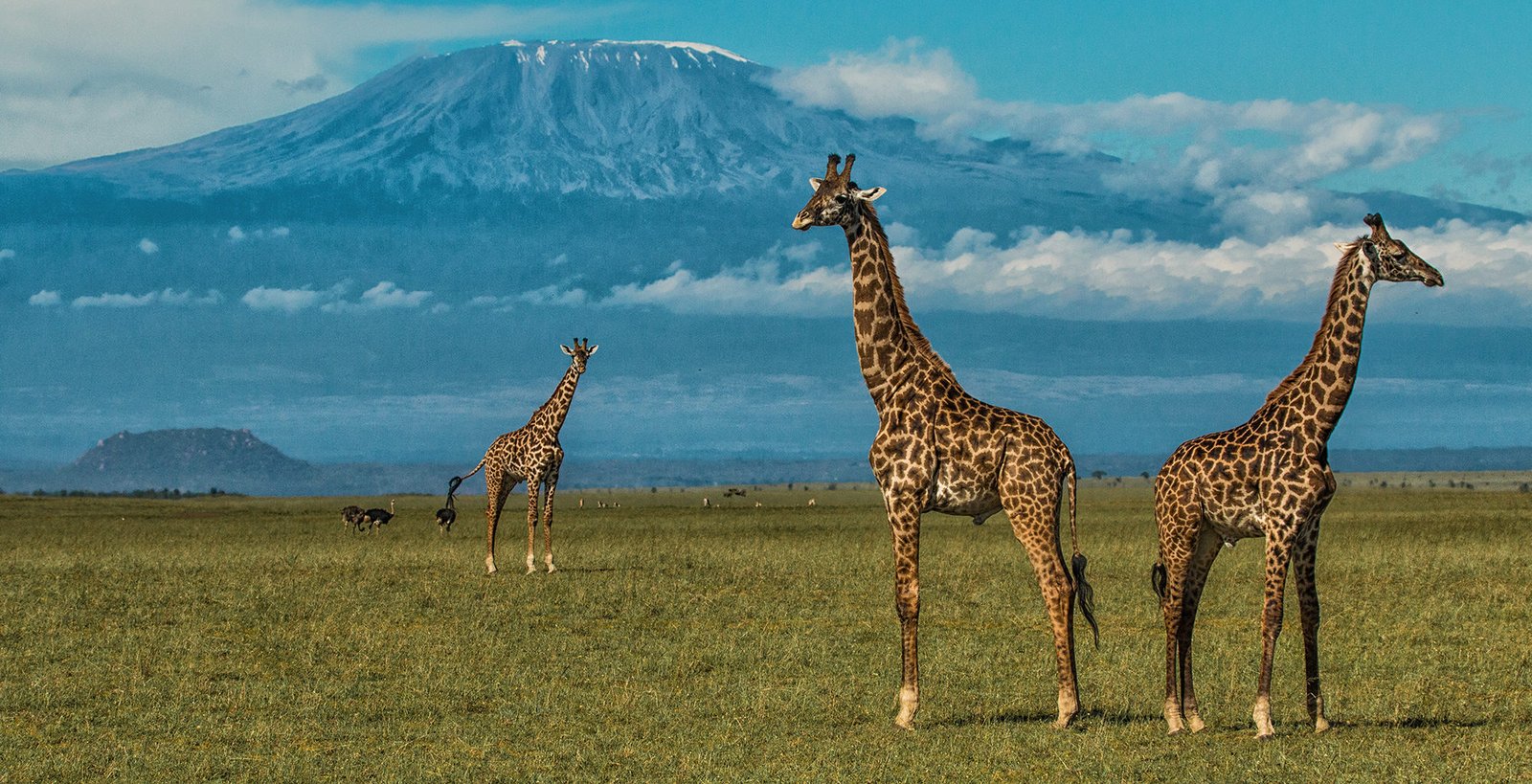 AmboseliNationalPark